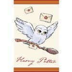 Käterätik 30x50 Harry Potter