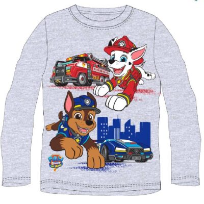 Pluus Paw Patrol (hall)