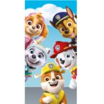 Saunalina 70x140cm Paw Patrol Selfie