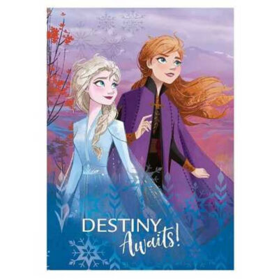 Fliistekk 100x140 Frozen