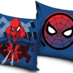 Padjapüür Spiderman 40x40 cm
