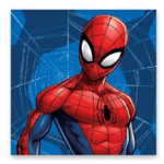Käterätik Spiderman Web 30x30cm