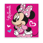 Käterätik Disney Minnie  Love 30x30cm