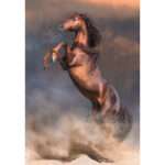 Horses Wild Stallion 500tk pusle Clementoni - Image 2